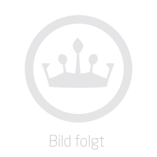 ARTUS 200ml paint can, seamless RAL9006 White aluminum matt